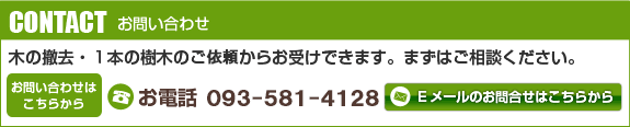 CONTACT ₢킹